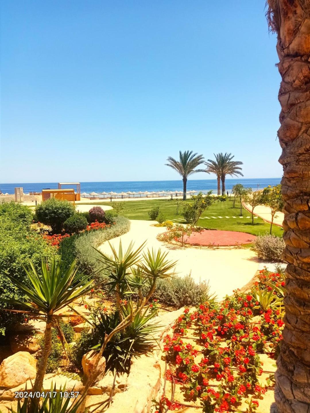 Oyster Bay Beach Resort Abu Dabab Eksteriør bilde